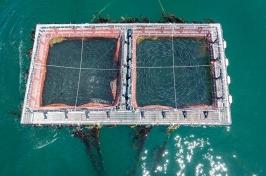 Overhead view of UNH's aquaculture system in the water